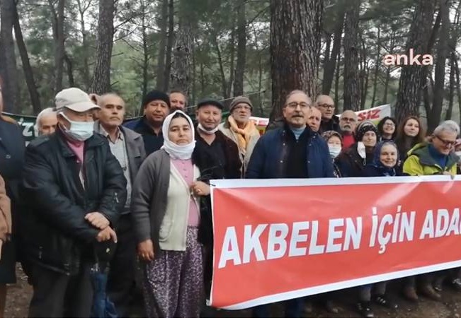 308 kurumdan Akbelen’de ağaç kıyımını durdurun çağrısı