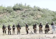 Limak Holding ve İÇTAŞ’ın orman katliamı sürüyor