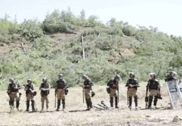 Limak Holding ve İÇTAŞ’ın orman katliamı sürüyor