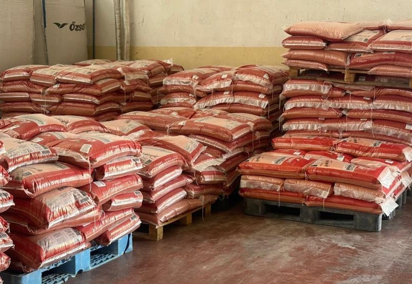 Mercimek çiftçinin yüzünü güldürdü