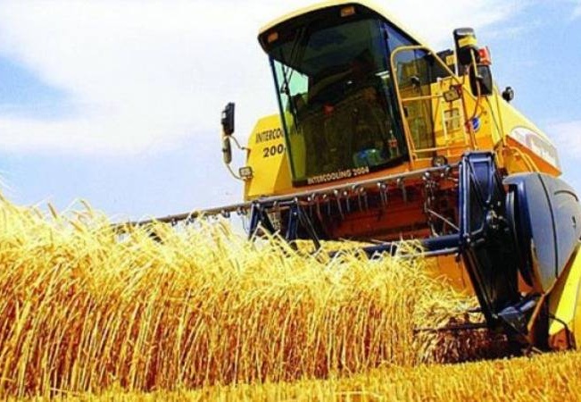Tarımda üretici enflasyonu, yüzde 62,5'e yükseldi