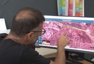 18 il ve 80’i aşkın ilçe merkezinin üzerinden 486 diri fay hattı geçiyor
