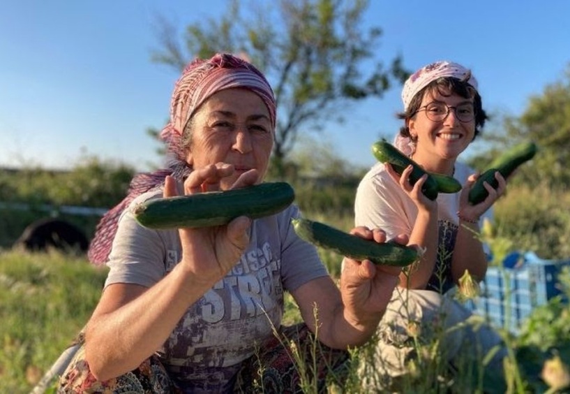 Buğday Derneği: Soframıza gelen zehirlerden 6'sı daha yasaklandı