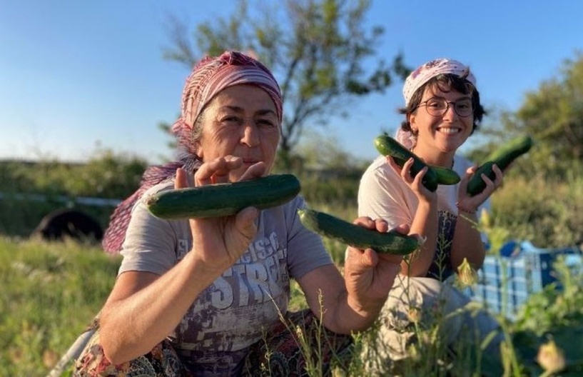Buğday Derneği: Soframıza gelen zehirlerden 6'sı daha yasaklandı