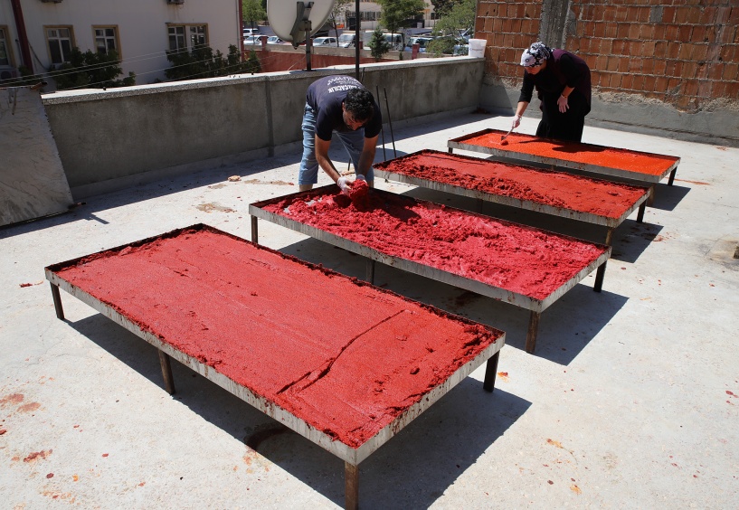 Salça yapımı başladı