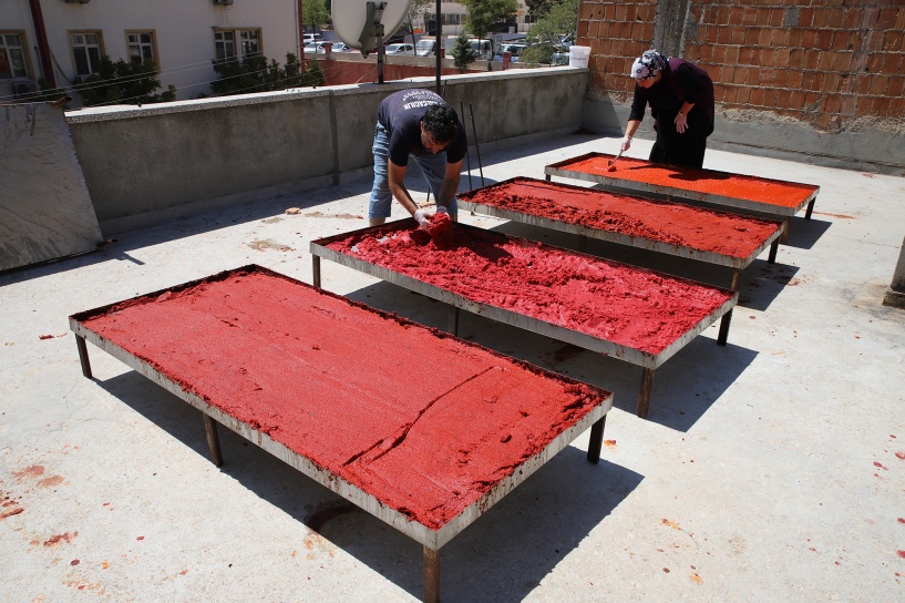 Salça yapımı başladı