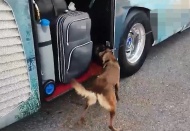 6 kilo 450 gram skunk ele geçirildi