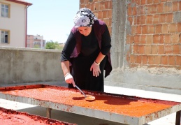 Salçalık biberler, güneşte pişiyor
