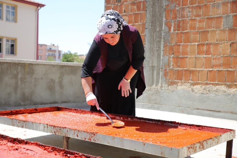 Salçalık biberler, güneşte pişiyor