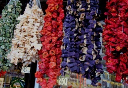 Kurutmalıklar, tarlalarda ve satış noktalarında renk cümbüşü oluşturuyor