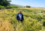 Ülke tarımının envanteri çıkarılmalı