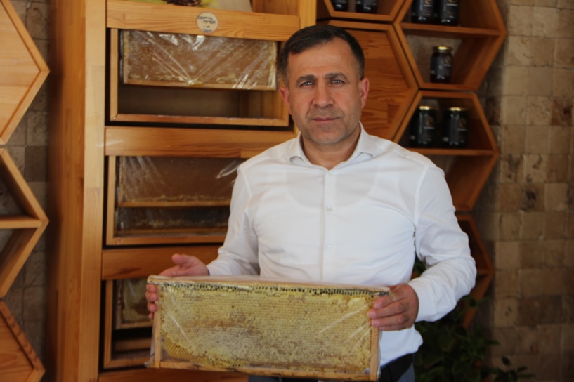 Küresel iklim, bal rekoltesini 350 ton düşürdü