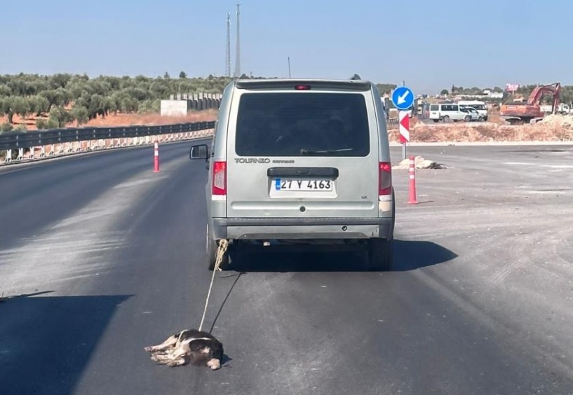 İnsan müsveddesi yakalandı