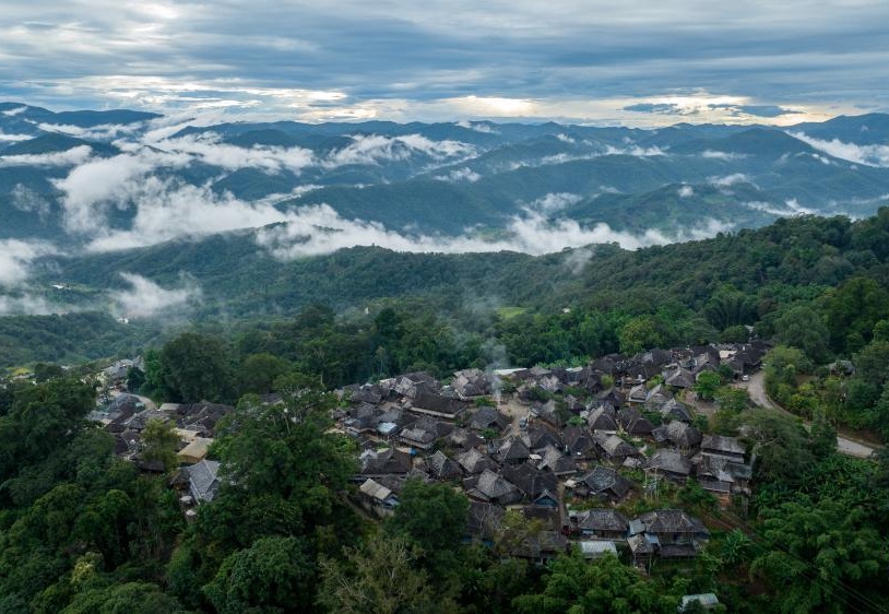 Çin’de 10 bin yıllık çay ormanları, UNESCO dünya mirası listesine girdi
