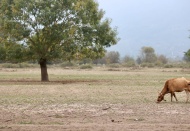 Türkiye'de sel ihtimali artıyor