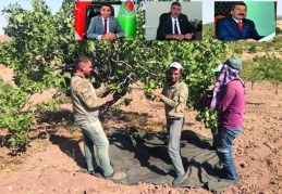 Barak Su Yolu Projesi hayata geçirilebilse 1 milyon hektardan fazla tarım arazisi sulanacak