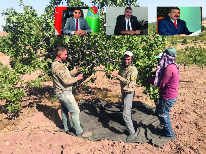 Barak Su Yolu Projesi hayata geçirilebilse 1 milyon hektardan fazla tarım arazisi sulanacak