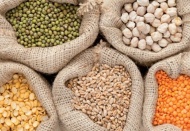 Buğday ihracatında İtalya, Belçika ve Irak ilk sırada geliyor