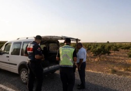 Fıstık bahçelerinde 370 kişi yakalandı, 108’i tutuklandı