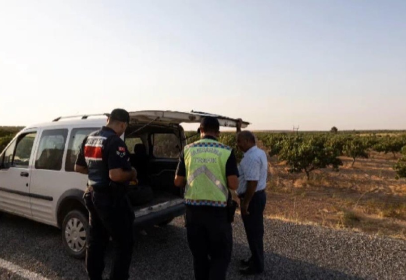 Fıstık bahçelerinde 370 kişi yakalandı, 108’i tutuklandı