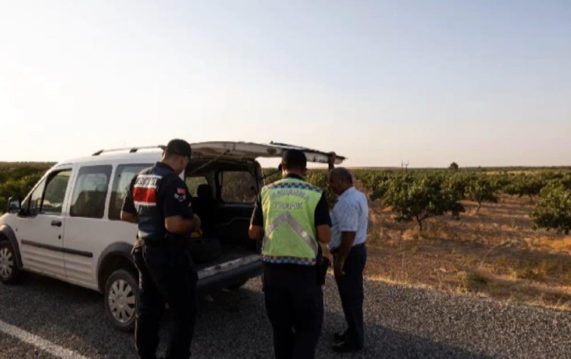 Fıstık bahçelerinde 370 kişi yakalandı, 108’i tutuklandı
