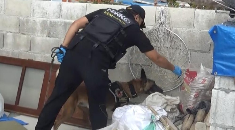 200 Polisle 22 adrese uyuşturucu baskını