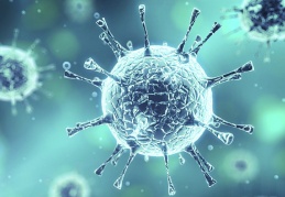 Corona testlerindeki pozitiflik oranı 24 saat içinde yüzde 3’ten yüzde 20’ye ulaştı