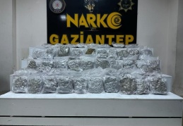 24 kilo 300 gram skunkla ilgili bir kişi tutuklandı