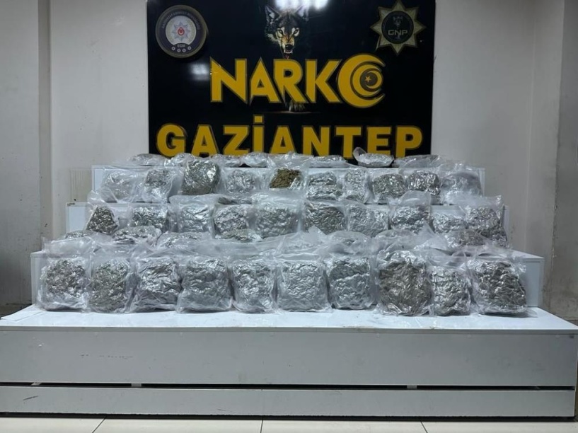 24 kilo 300 gram skunkla ilgili bir kişi tutuklandı