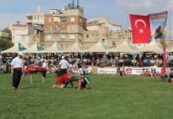 4. Aşırtmalı Aba Güreşi Türkiye Şampiyonası yapıldı