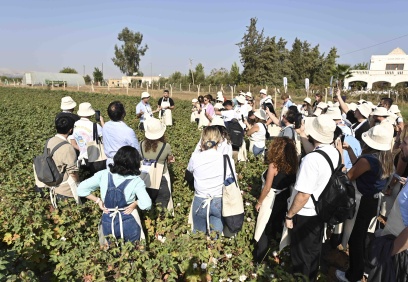 Harran Ovası’nda rejeneratif pamuk hasadı yapıldı