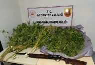 Karkamış’ta 6 kilo esrar ele geçirildi