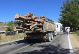 RES’ler ve HES’lerle orman arazileri talan ediliyor