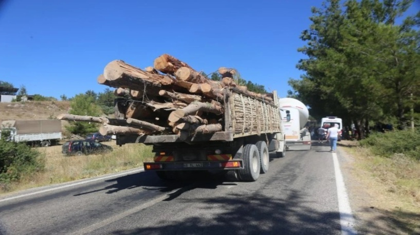 RES’ler ve HES’lerle orman arazileri talan ediliyor