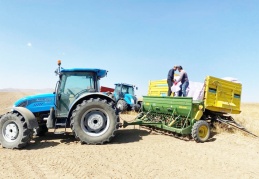 Hububata verilen destek, zamlar karşısında devede kulak kaldı