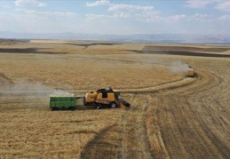 Bitkisel üretim 2023’te artacak