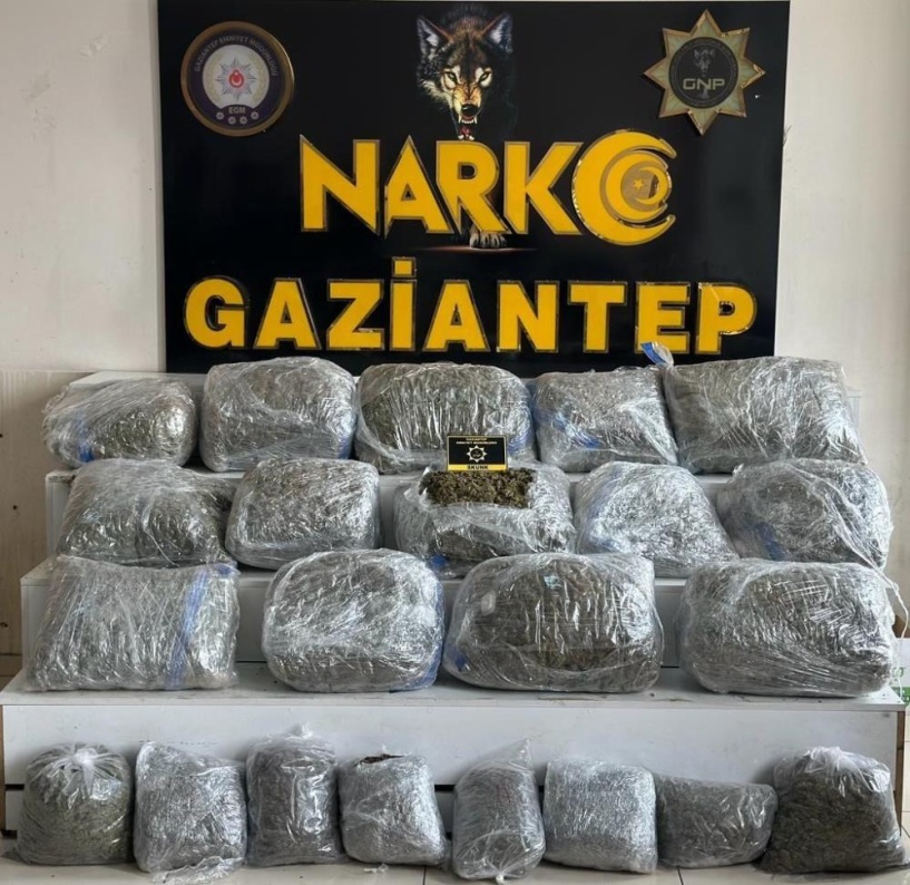 78 kilo skunk ele geçirildi