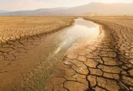 Doğayı rant için talan ettiler, yağışlar azaldı, kuraklık başladı