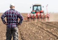 TÜİK: Tarım üretici enflasyonu ekimde aylık bazda geriledi