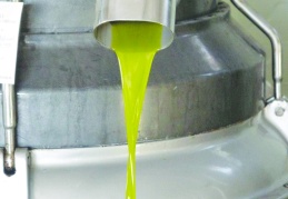 Bir litre zeytinyağı en az 400 TL olacak