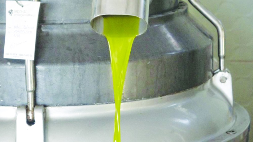Bir litre zeytinyağı en az 400 TL olacak