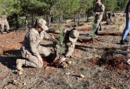 Jandarma 100. Yıl için 100 fidan dikti