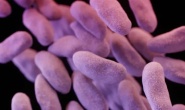 Çocuklarda antibiyotik direnci artıyor