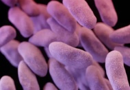 Çocuklarda antibiyotik direnci artıyor