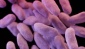 Çocuklarda antibiyotik direnci artıyor