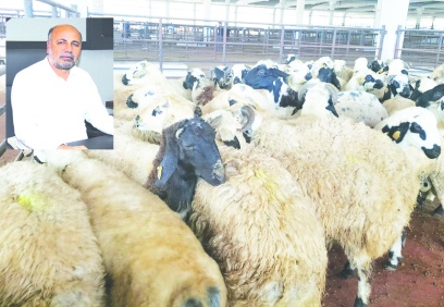 Hayvan üreticileri sektörden çıkıyor