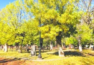 Kavaklık’ta sonbahar