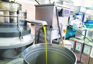 Tağşiş ve taklit zeytinyağları artmaya başladı