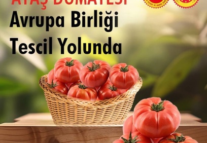 Yerel değerlerimizin korunması ve tanıtılması kararlılığındayız