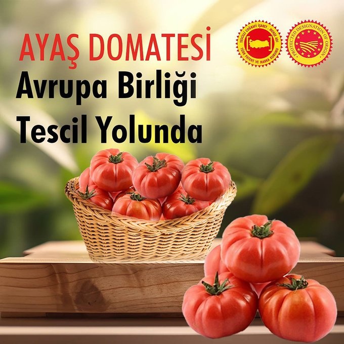 Yerel değerlerimizin korunması ve tanıtılması kararlılığındayız